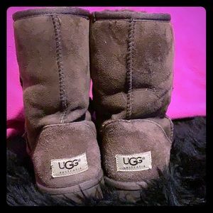 Beautiful authentic brown uggs